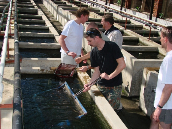 Überall gibt es etwas zu sehen, Fischverrückte aus Deutschland und Dänemark.