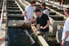 Überall gibt es etwas zu sehen, Fischverrückte aus Deutschland und Dänemark.