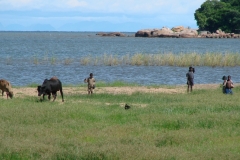 Zu Fuß in der Nähe der Sation am Kambiri Point unterwegs.