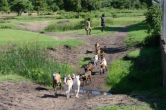 Zu Fuß in der Nähe der Sation am Kambiri Point unterwegs.