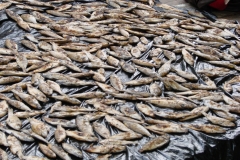 Markt in Nkhata Bay.